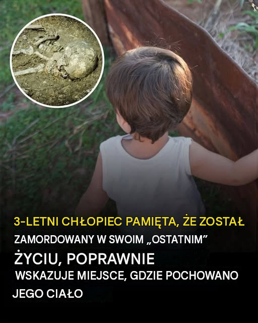 Maluch twierdzi, że pamięta, że ​​został zamordowany w poprzednim życiu i wskazuje miejsce swojego pochówku Temat: AAA