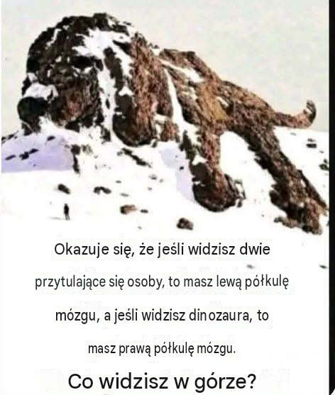 Badanie wizualnego skanowania mózgu…
