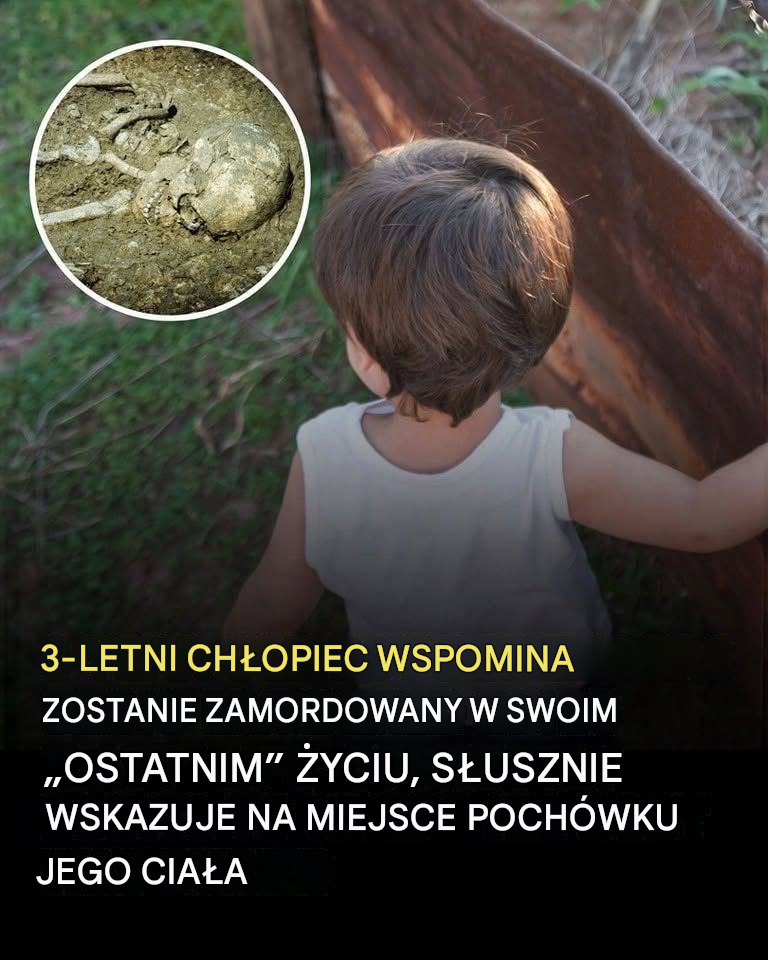 3-letni chłopiec twierdzi, że pamięta poprzednie życie