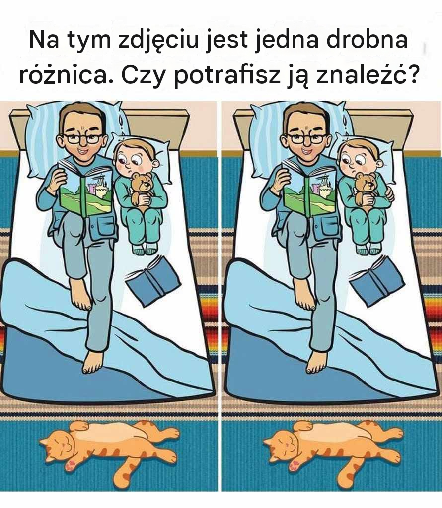 Tata, dziecko i śpiący kot: znajdź 1 różnicę.