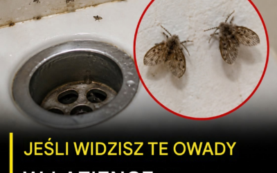 Jeśli zauważysz te małe robaczki w swojej łazience, nie ignoruj ​​ich