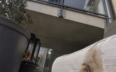 Mój sąsiad z góry dwa razy dziennie rzucał zużyte torebki herbaty na mój balkon – postanowiłam więc nauczyć go, co to znaczy szanować cudzy dom.