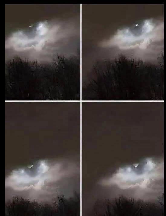 Mój brat to zrobił