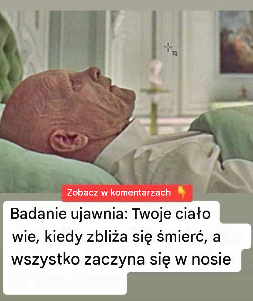 Badania wykazały, że organizm wie, kiedy zbliża się śmierć, a wszystko zaczyna się w nosie