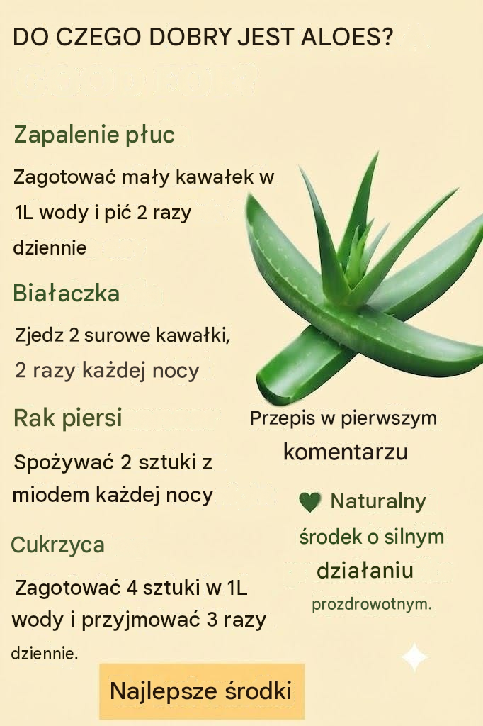 Aloes może oferować szereg korzyści zdrowotnych – oto, co powinieneś wiedzieć
