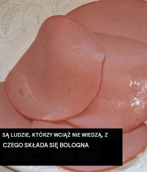 Z czego zrobiona jest Bolonia?