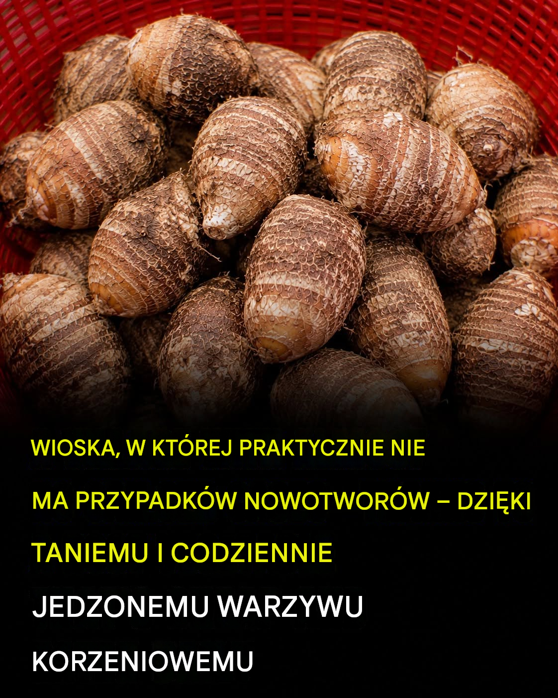Wioska z prawie zerową liczbą przypadków raka? Skromne warzywo korzeniowe, które przykuło uwagę naukowców