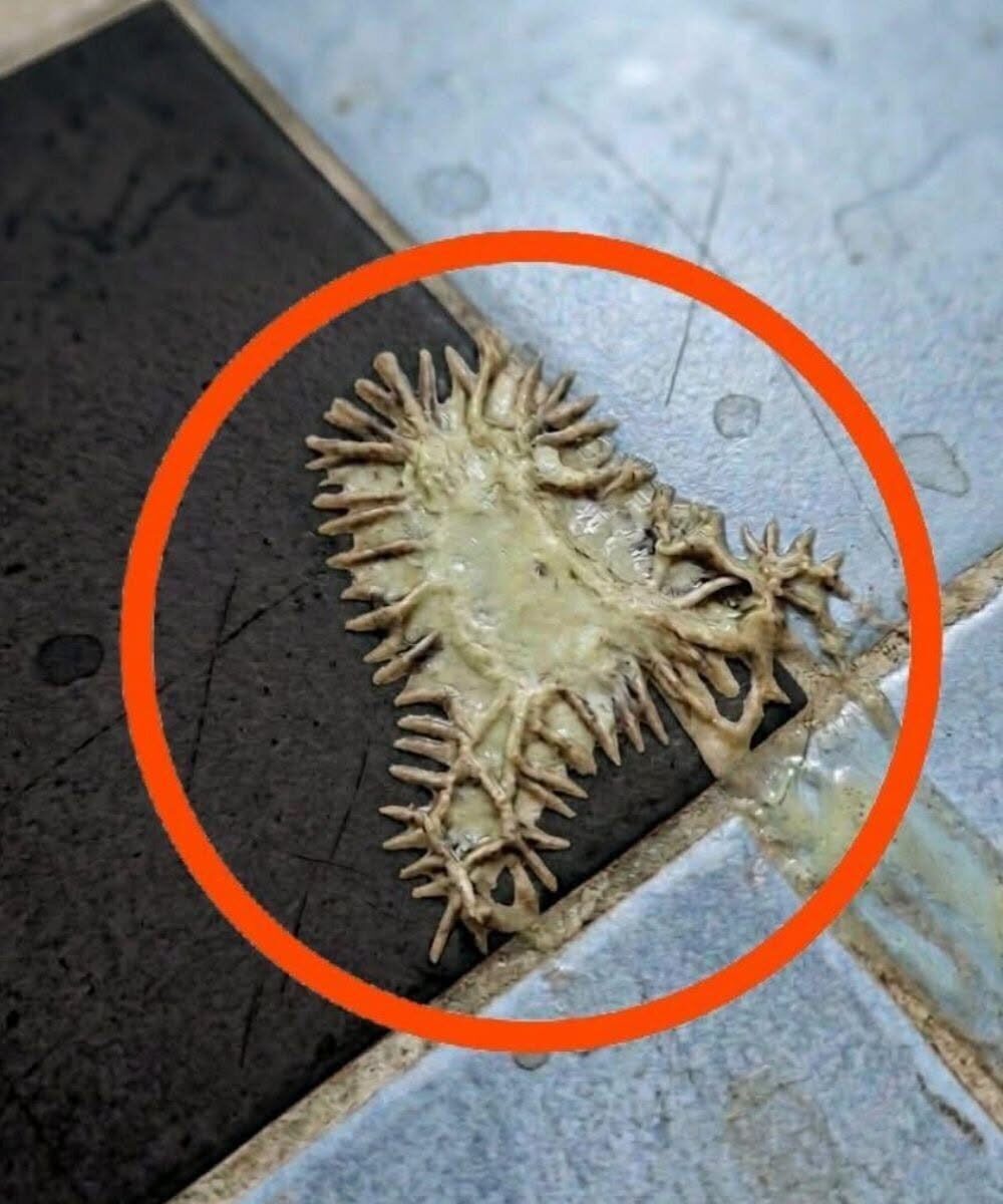 Dziwna tajemnica łazienki