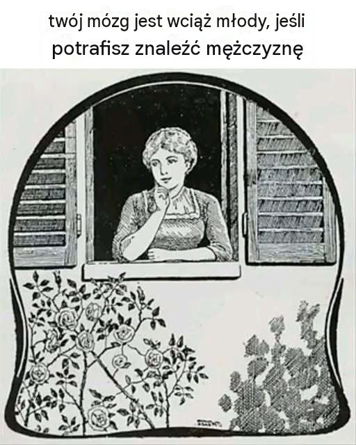 Zagadka obserwatora okna: znajdź mężczyznę.