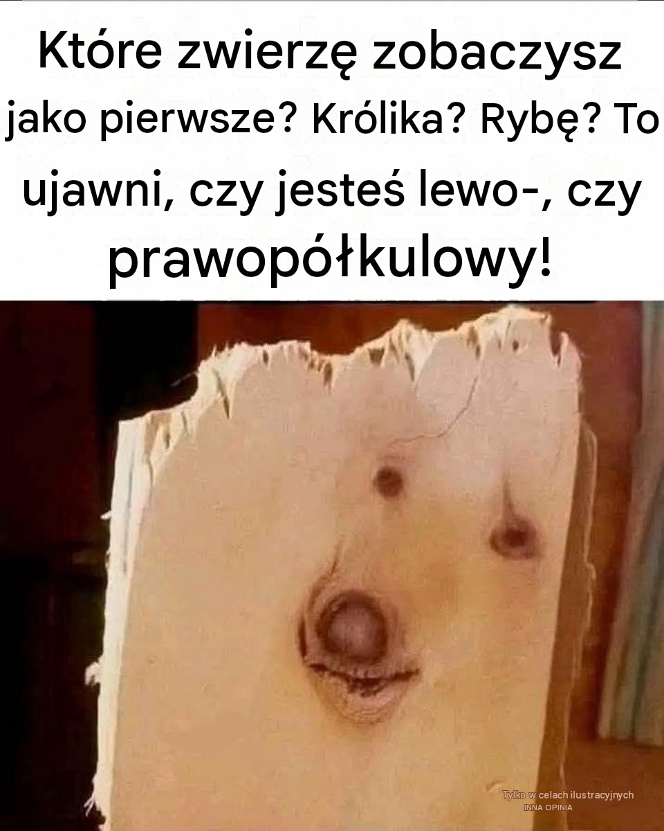 Które zwierzę widzisz jako pierwsze? Królika? Rybę?