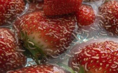 Wypróbowałem sztuczkę z truskawkami w słonej wodzie – oto, co odkryłem