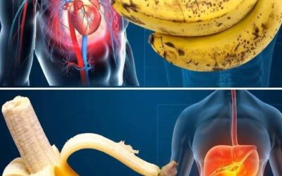 Czy wiesz, że jedzenie bananów zwiększa…Zobacz więcej
