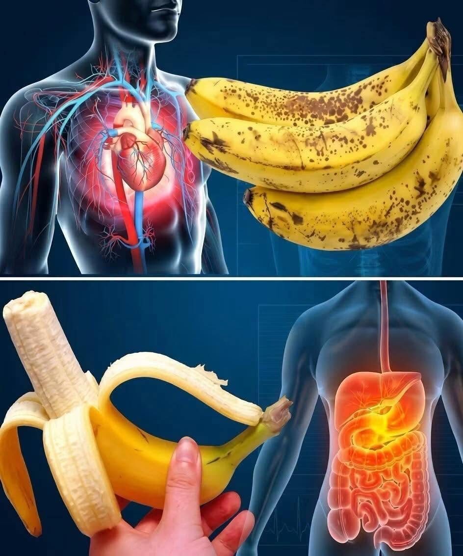 Czy wiesz, że jedzenie bananów zwiększa…Zobacz więcej