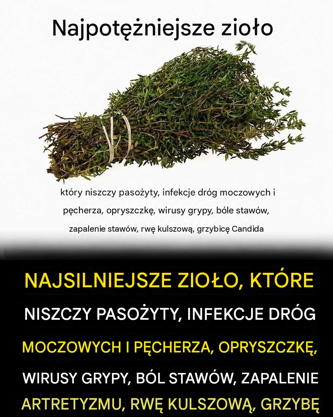 NAJSILNIEJSZE ZIOŁO, KTÓRE NISZCZY PASOŻYTY, UKŁAD MOCZOWY…